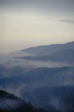 96cd2img0014.jpg