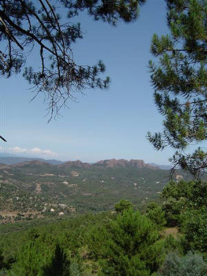 wandelingopdomaine.jpg